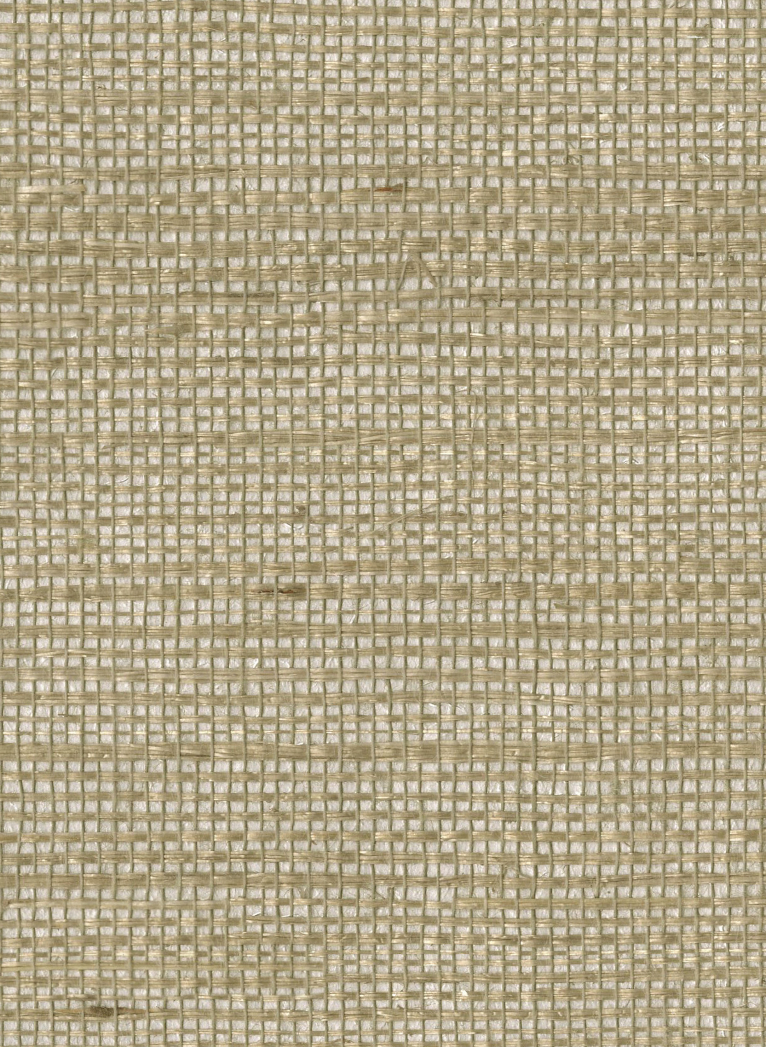 Tapete SOP4101 Shades of Pale
