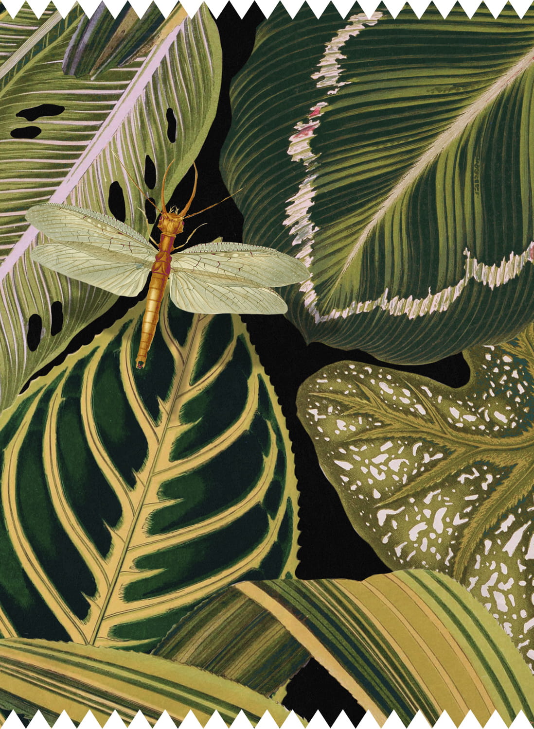 Fabric Amazonia