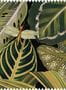 52713_01_Mindthegap_Amazonia_Fabric_FB00005-205628