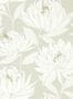 5243_3_harlequin_sebal_112129-54995