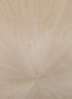 16055_1_Arte_International_Sunburst_90510-118255