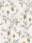 16095_4_Coordonné_Silvestre_YSP0403-134653