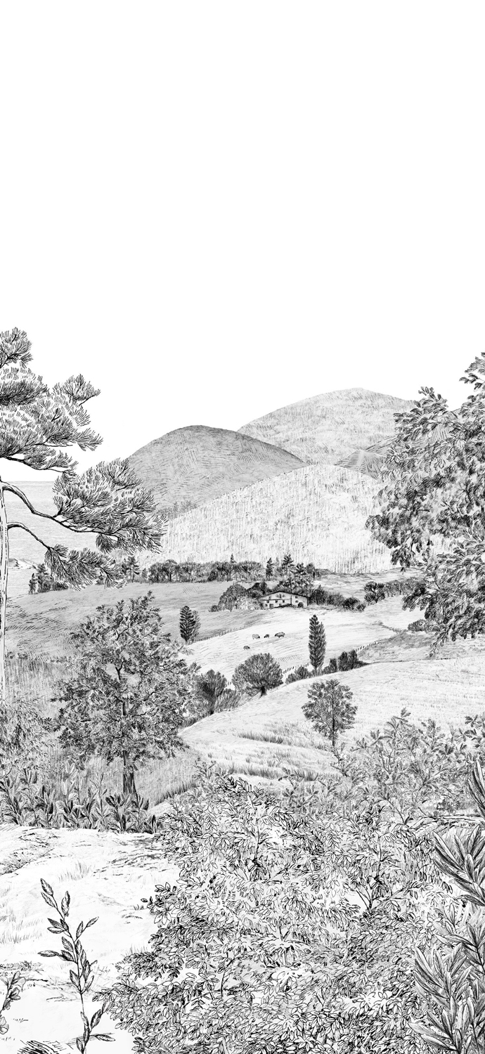 Papier peint Euskadi - Grisaille Panel A