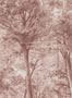 17938_05_Boråstapeter_Sketch_of_Trees_9634W-177102