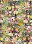 2316_2_rebel_walls_greenhouse_meadow_r13142-6-25010