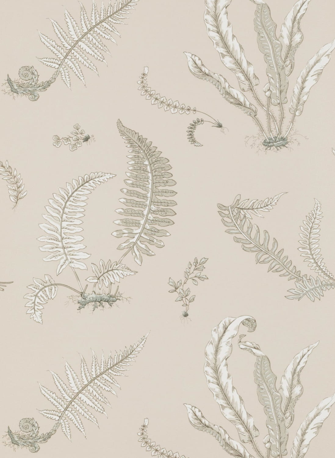 Tapete Ferns - Linen