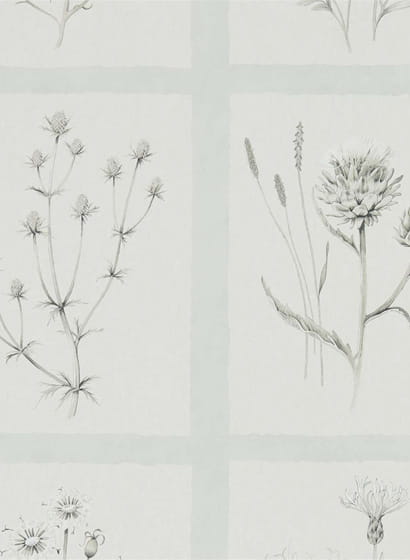 Tapete Little Thistles - Grey/ Blue