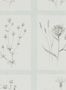 3678_3_sanderson_little-thistles_216513-30337