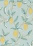 5280_1_morris_lemon_tree_216674-58471