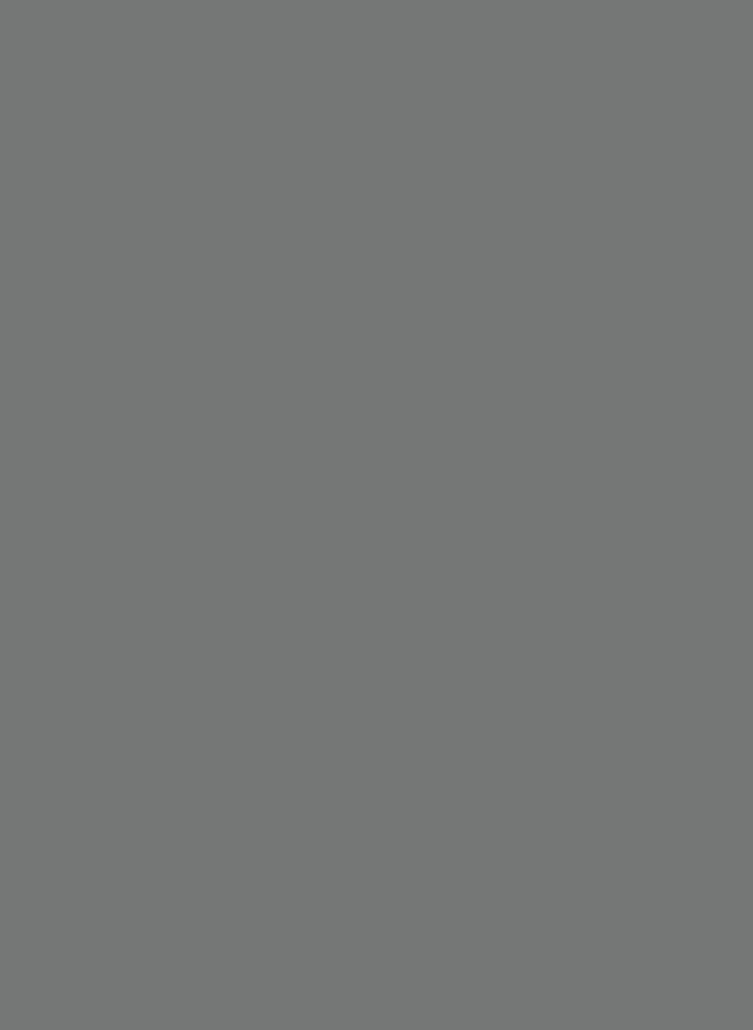 Dark Lead Colour 118