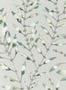 3109_1_harlequin_chaconia_111634-28305