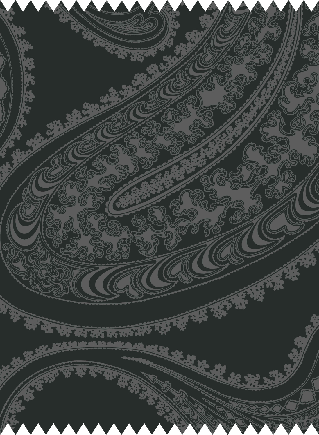 Stoff Rajapur Velvet - Charcoal on Black
