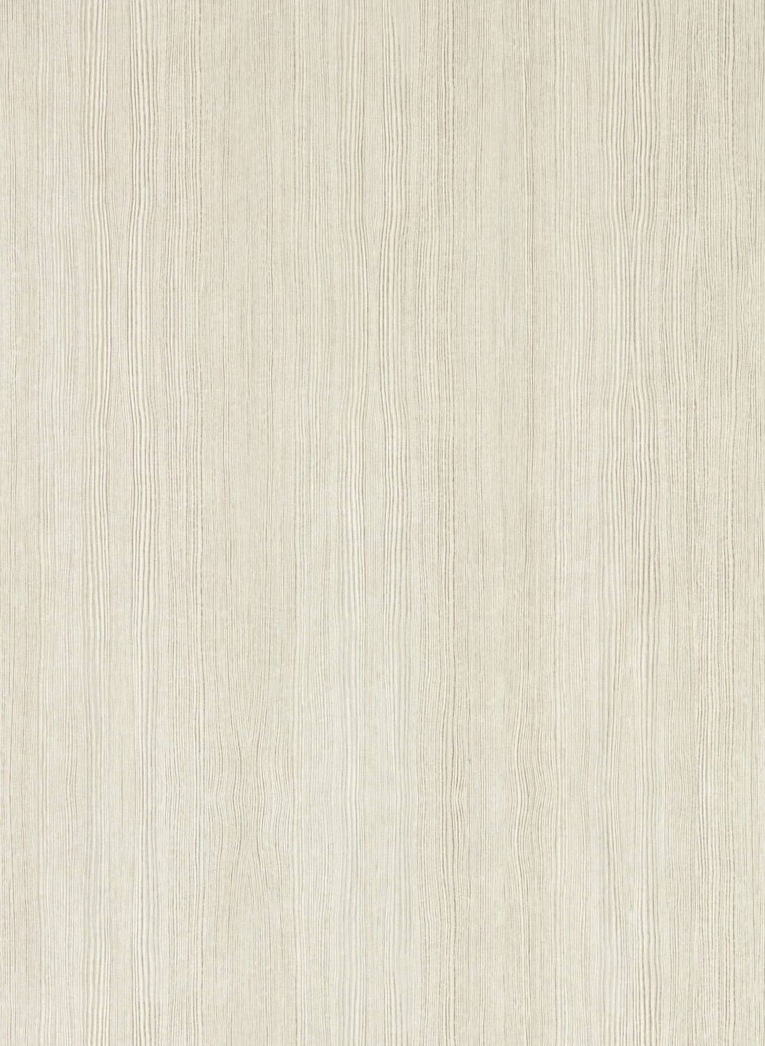 Tapete Wood Veneer - Silver Birch