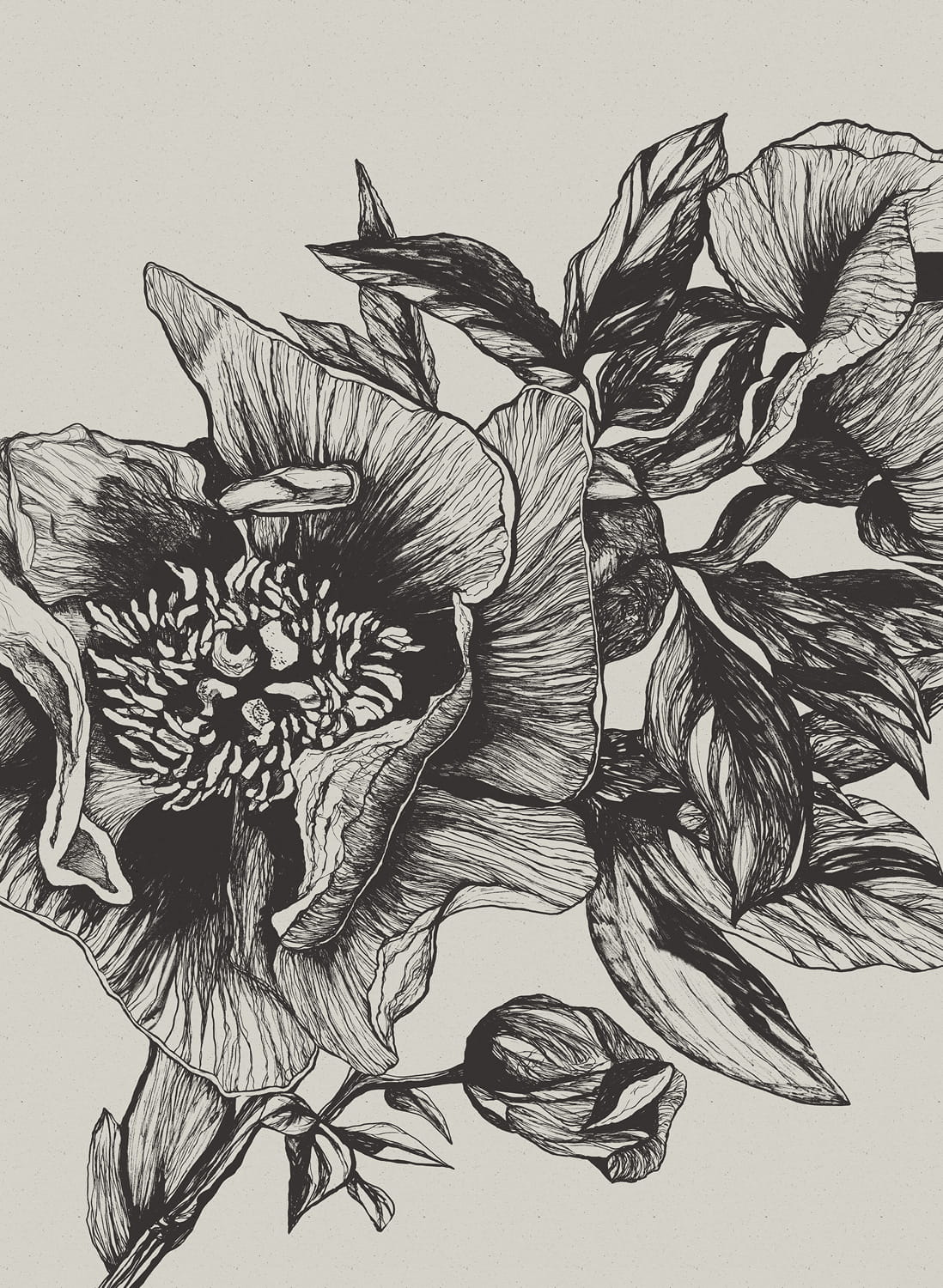 Wandbild Giant Peonies - Ink