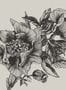 8514_1_Coordonne_Wandbild_Giant_Peonies_9500700-70079