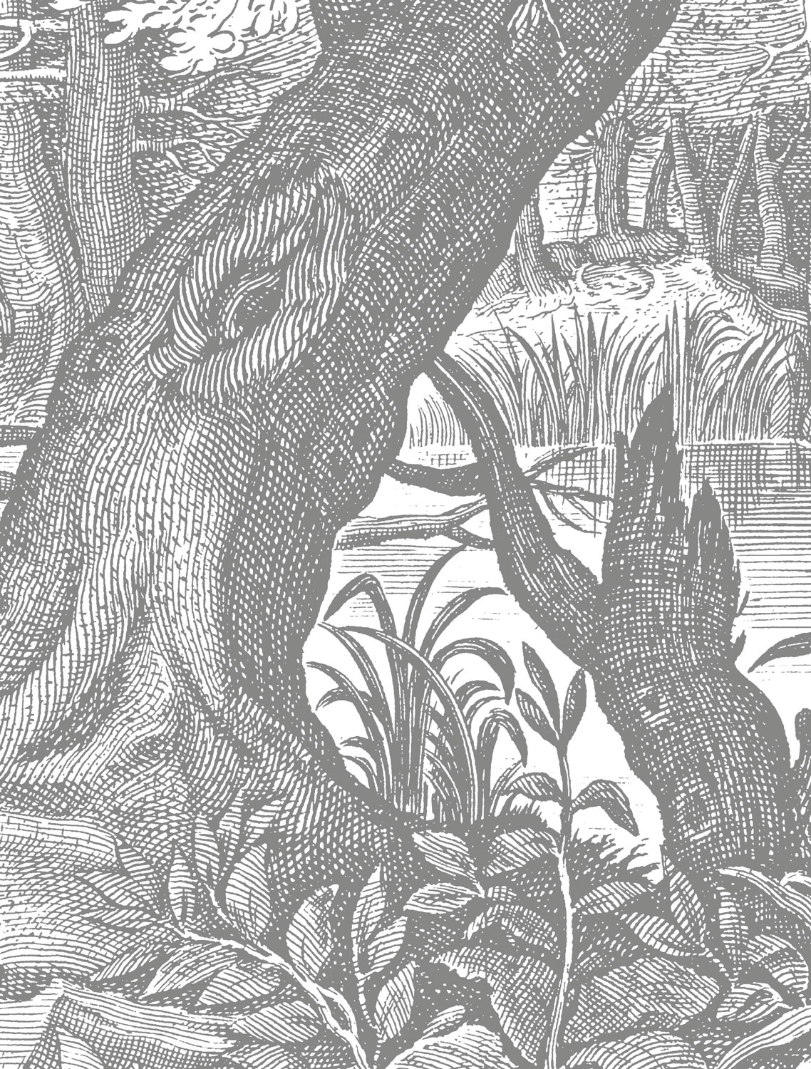 Wandbild Engraved Landscapes 4 - XS