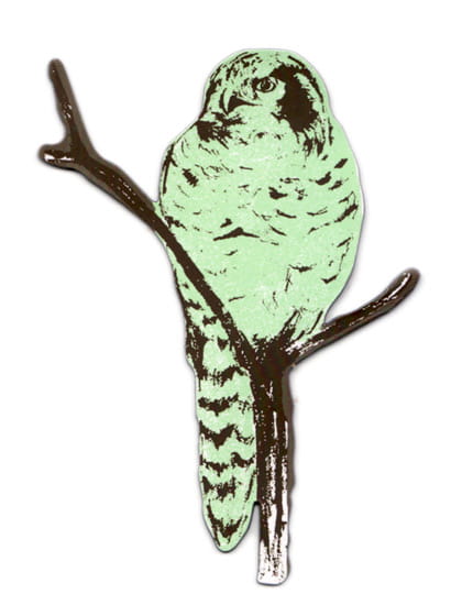 Sian Zeng Magnet Owl - green