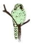 2033_1_sian_zeng_magnet_owl_green-23913