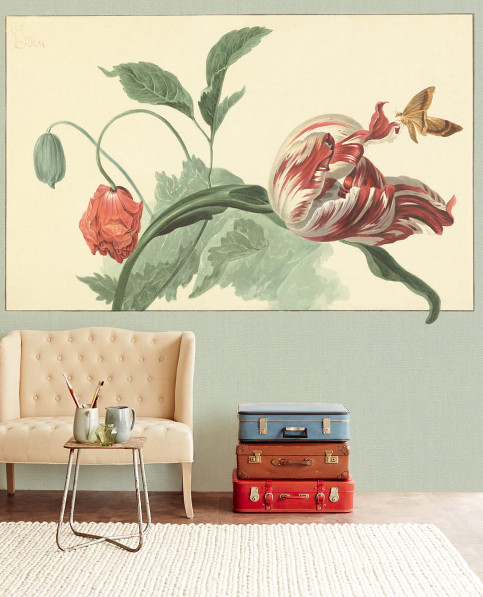 Tapete Tulip and Poppy - 358119