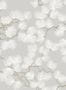 15018_1_Sandberg_Pine_804-21-114593