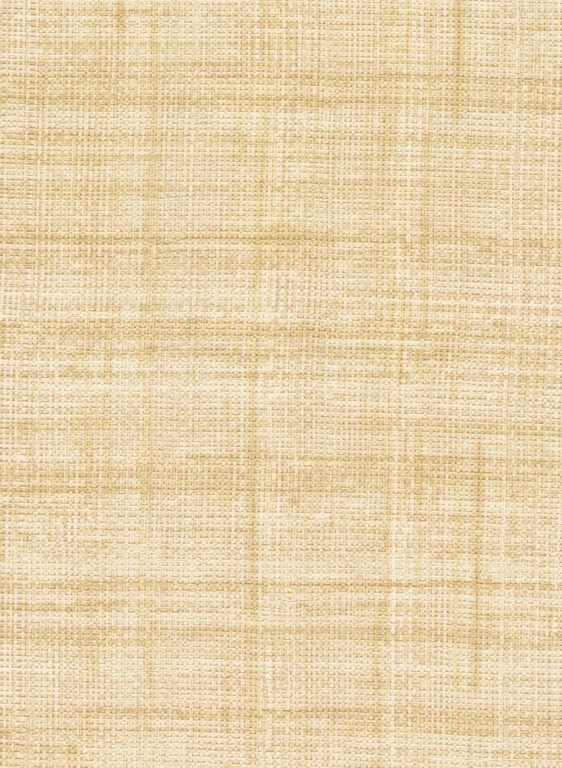 Tapete Abaca - VP 983 05