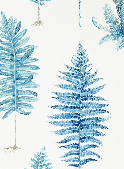 Tapete Fernery - China Blue
