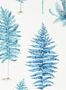 5173_3_sanderson_fernery_216635-54544