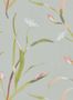 3863_1_harlequin_saona_111756-30836