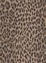 2614_03_House_of_Hackney_Wild_Card_1-WA-WIL-DI-EAR-XXX-188215