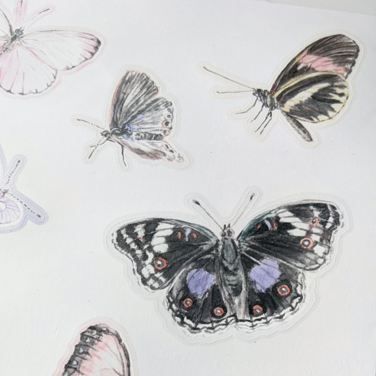 Wandsticker Butterfly - Blush