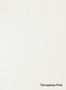 Terrastone-Fine-36-Bianco-Di-Carrara-colour-sample-named-190623