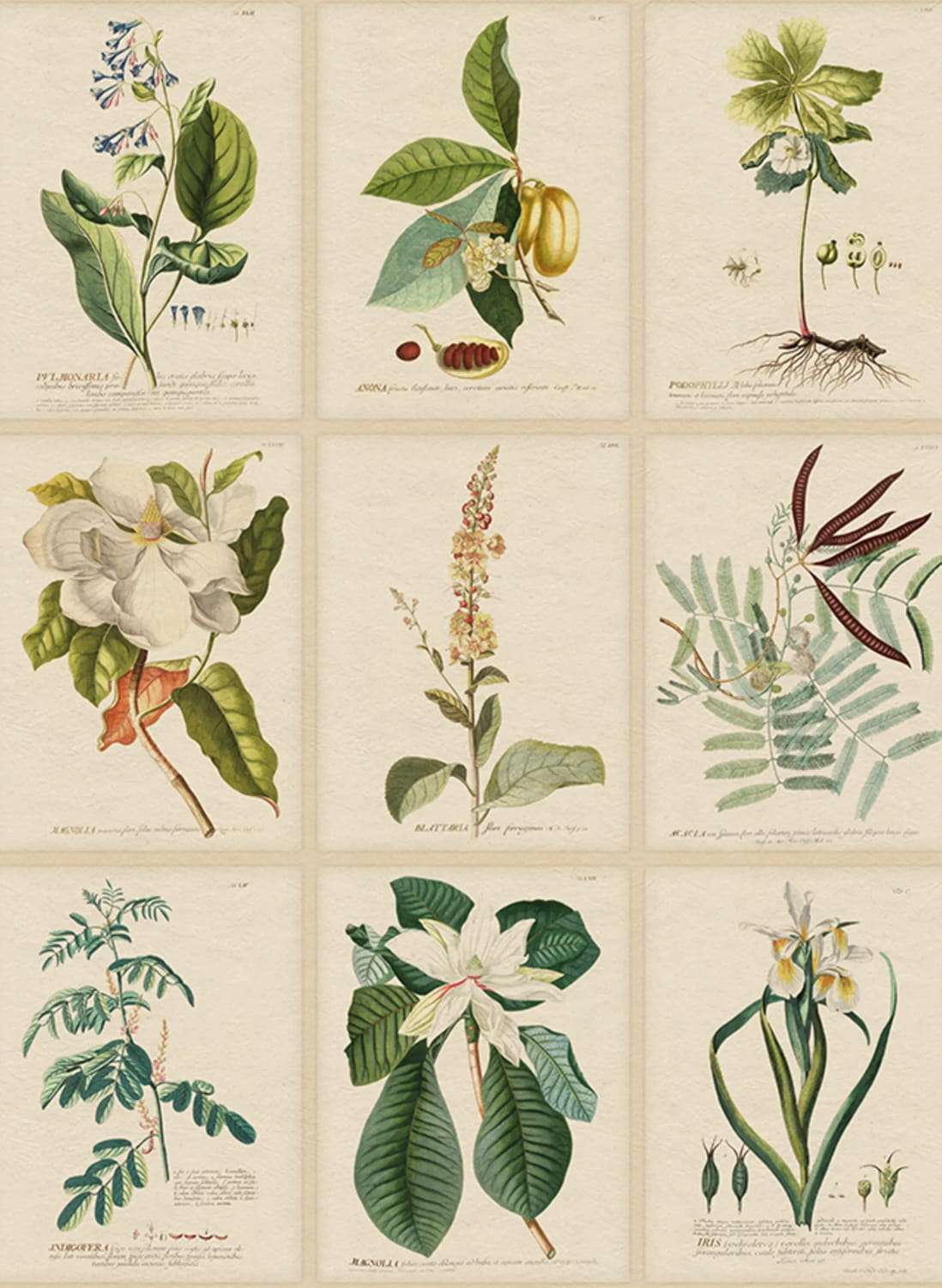 Wandbild Flora - green