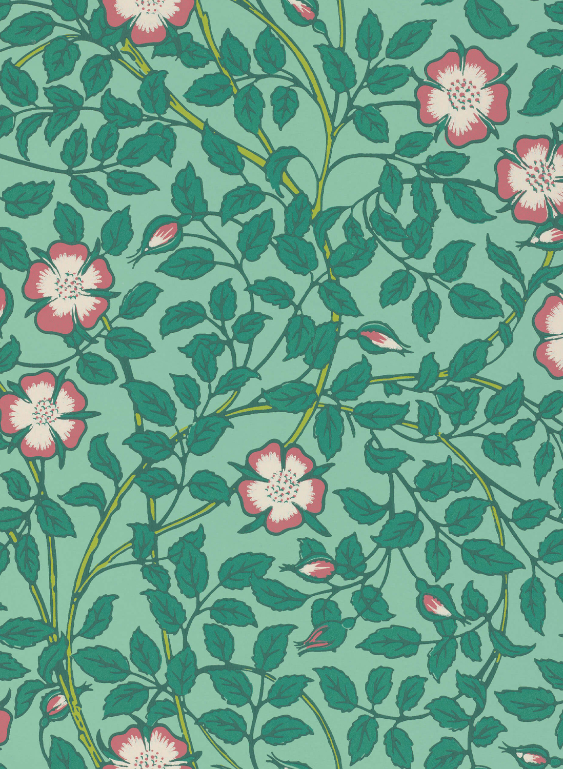 Tapete Briar Rose - Green Verditer