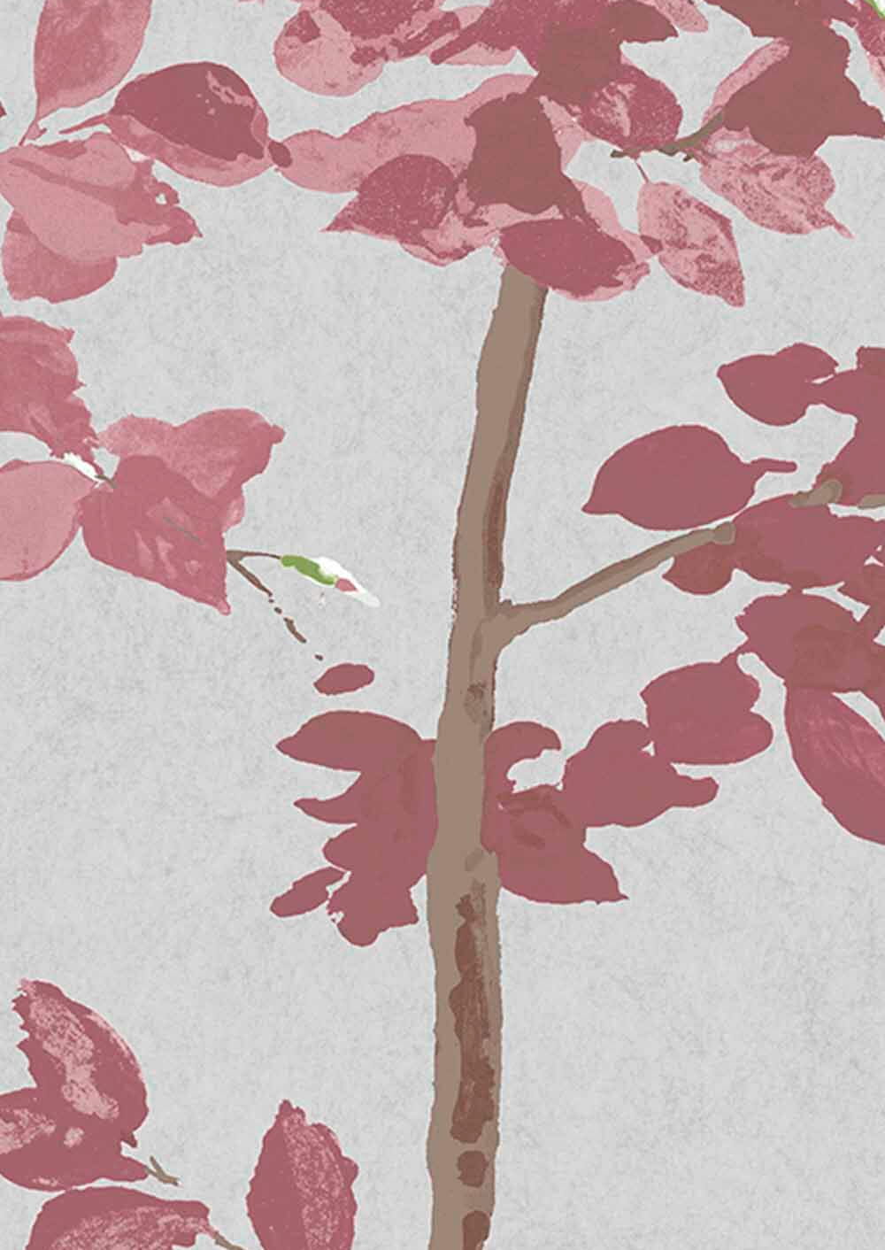 Tapete Beech - Rose