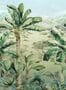 8842_1_Osborne-&-Little_Martinique_W7615-01-75557