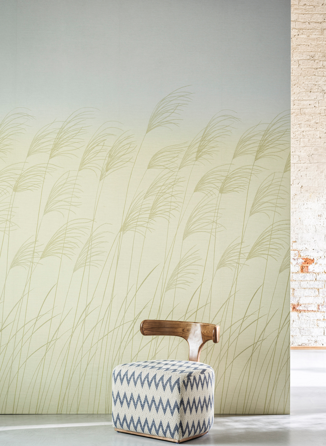 Wandbild Miscanthus