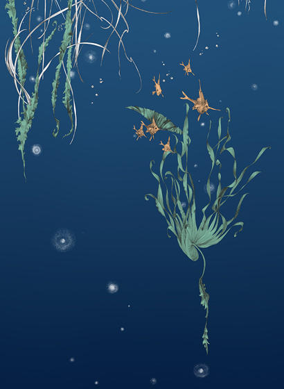 Tapete Nautilus/Méduses/Nénuphars - Marine - Nénuphars gauche - Marine