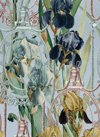 Tapete Fleurs d Iris - WP20476