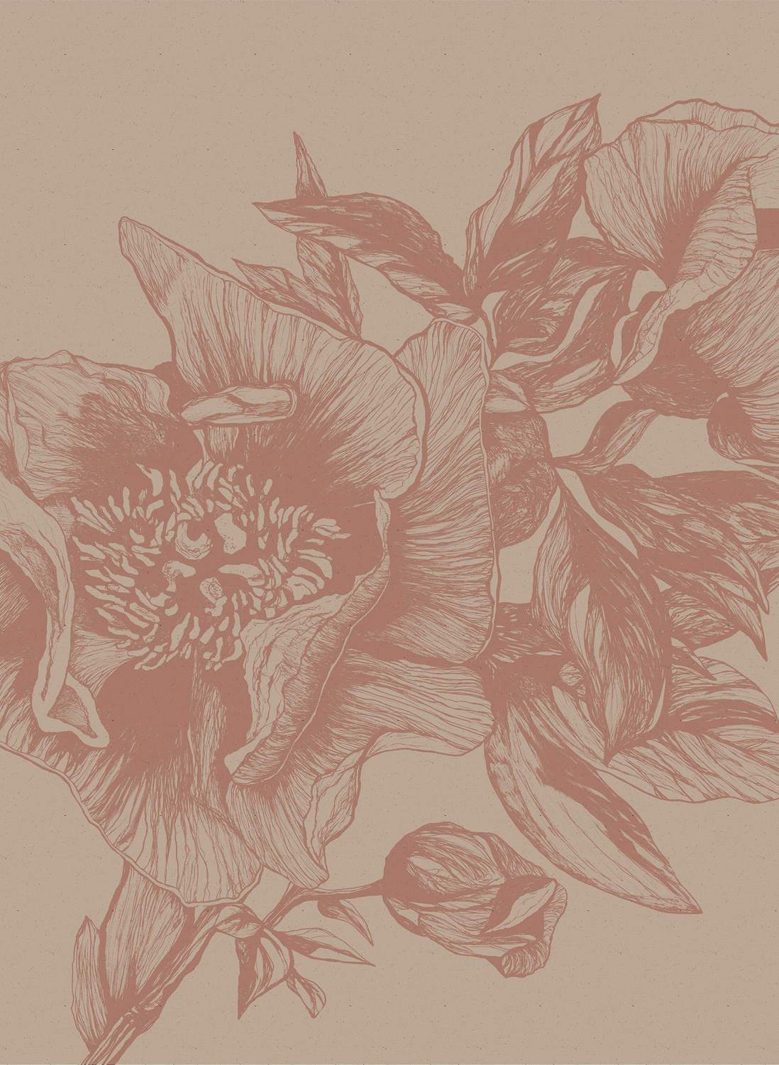 Wandbild Giant Peonies - Nude