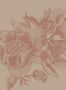 8514_3_Coordonne_Wandbild_Giant_Peonies_9500702-70084