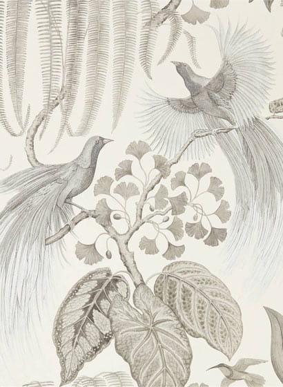 Tapete Bird of Paradise - Linen