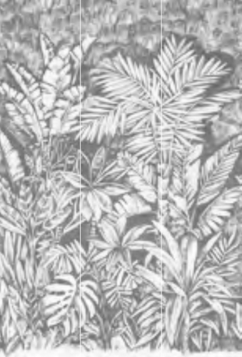 Wandbild Daintree - 41370