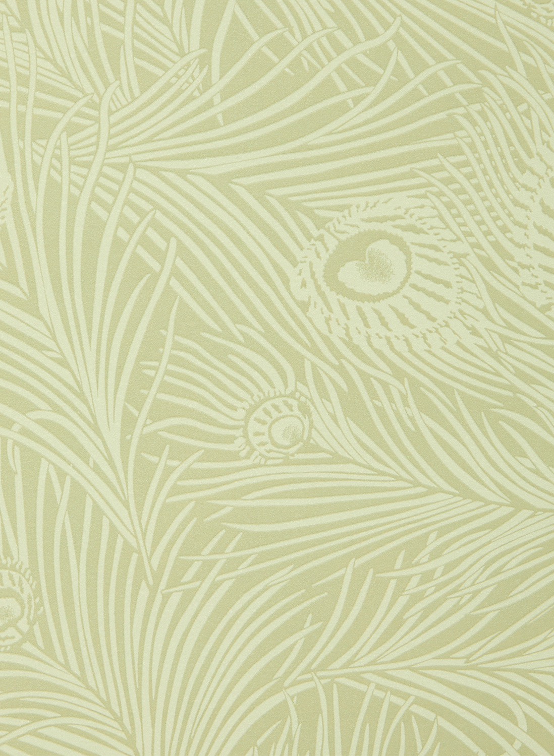 Tapete Hera Plume - Lichen