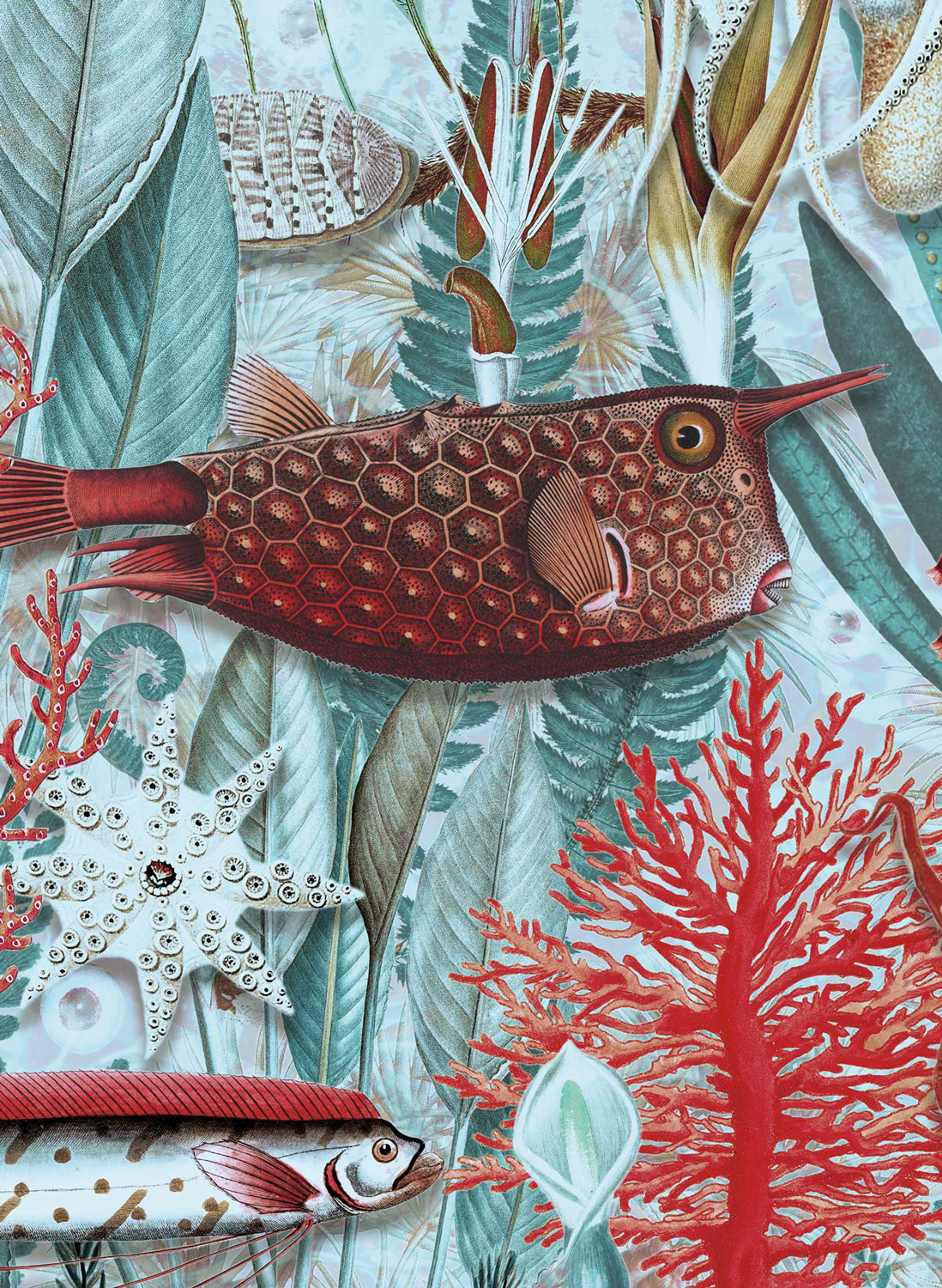 Tapete Underwater Jungle 5 - M 1.95m
