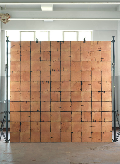 Tapete Scrapwood 09
