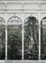 6629_2_Rebel-Walls_Dove-Gardens_White_R16262-78620