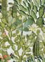 3439_2_mindthegap_opuntia_wp20166-29520
