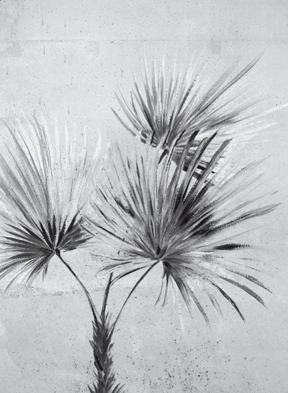 Tapete Palm Ombre - Greyscale