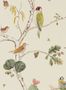 2466_1_sanderson_woodland_chorus_dwow215703-25447