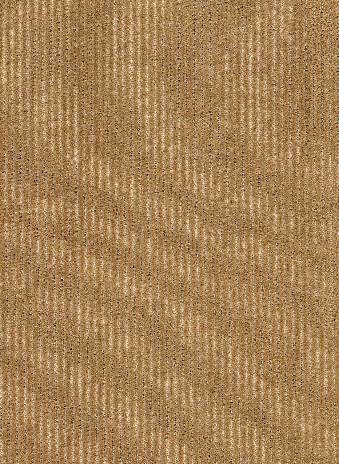 Tapete Tinneroy - 29504